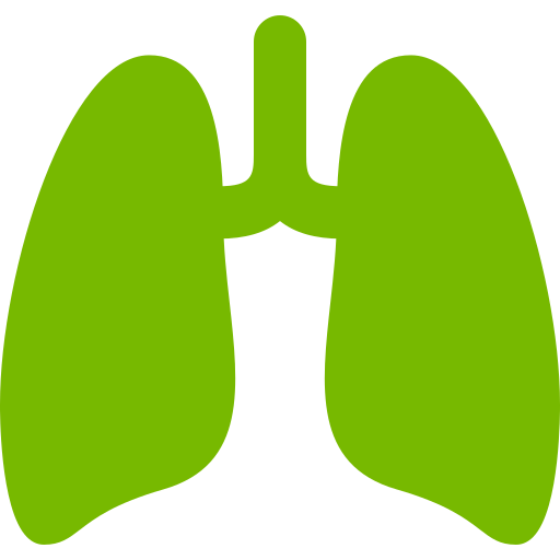 Breathing Icon